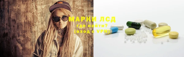ГАЛЛЮЦИНОГЕННЫЕ ГРИБЫ Аркадак