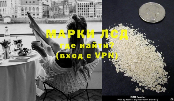 ГАЛЛЮЦИНОГЕННЫЕ ГРИБЫ Аркадак