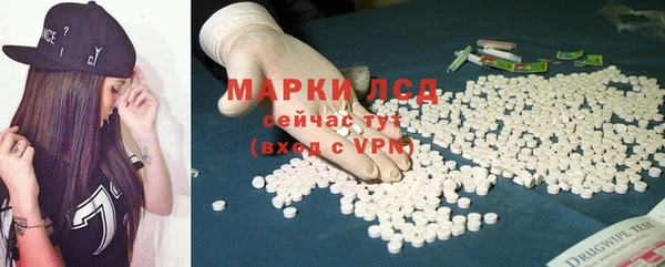 ГАЛЛЮЦИНОГЕННЫЕ ГРИБЫ Аркадак